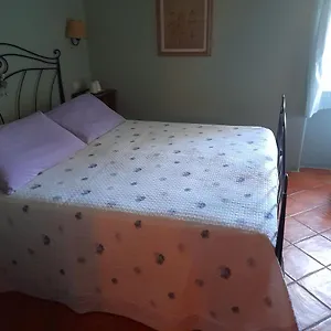 Gli Ulivi Italia